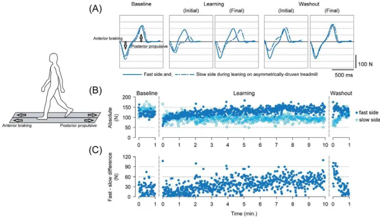 Figure 2. Descriptions of adaptation on the asymmetrically driven treadmill and the emergence of the aftereffect with release from the novel environment in walking in a single subject (showing only the walking periods from Experiment 1)