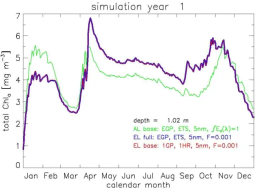 Fig. 6. Chlorophyll concentrations at depth of 1 m for various year 1 simulations as discussed in the text.