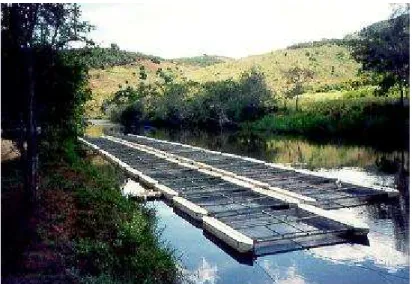 Figura 2 – Posicionamento das gaiolas no rio Tanque, fazenda Gororó, Santa Maria do Itabira,  MG 