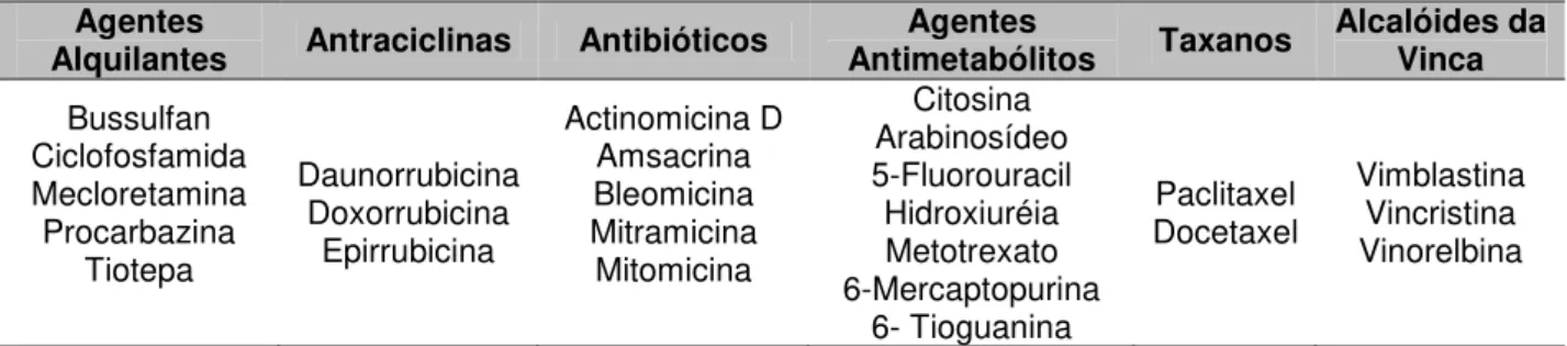 Tabela 2.4 - Principais agentes quimioterápicos que podem causar mucosite oral [28, 45] 