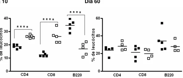 Figura  5:  Efeito  do  desafio  de  camundongos  crônicos  com  dose  única  de  T.  cruzi Sylvio  X10/4  na  freqüência  dos  leucócitos  CD4 + , CD8 +   e B  no  sangue