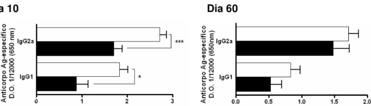 Figura 7: Avaliação da resposta humoral de animais crônicos 10 e 60 dias após um único desafio com  parasitas Sylvio  X10/4