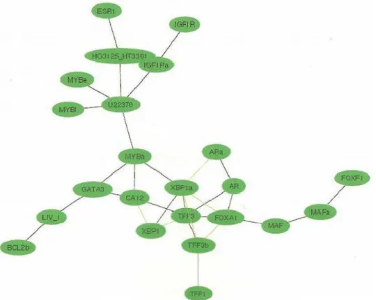 FIGURA 3.1: Subgrafos de cˆancer de mama baseados nos grafos da express˜ao gˆenica (em 12.558 genes) envolvendo ER e TFF1