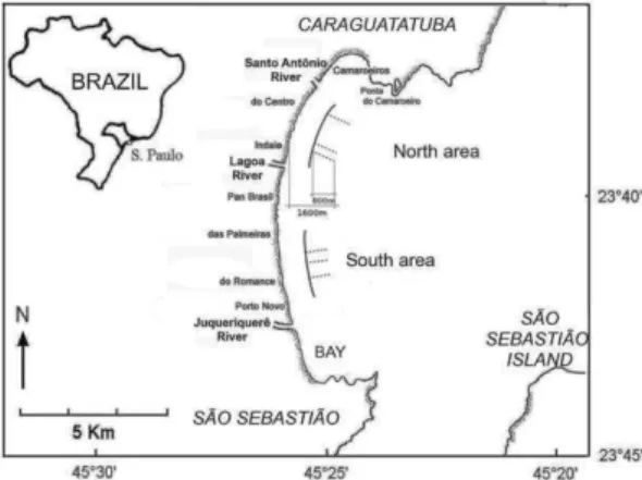 Fig. 1. Caraguatatuba Bay and otter-trawl sampling schemes  from  a  monthly  sample  (dashed  lines),  in  both  study  areas,  North and South (solid lines).