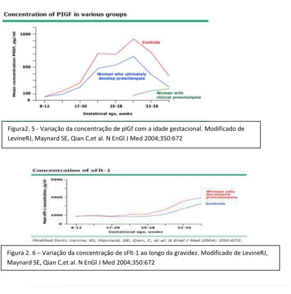 Figura 2. 6 – Variação da concentração de sFlt-1 ao longo da gravidez. Modificado de LevineRJ,  Maynard SE, Qian C,et al