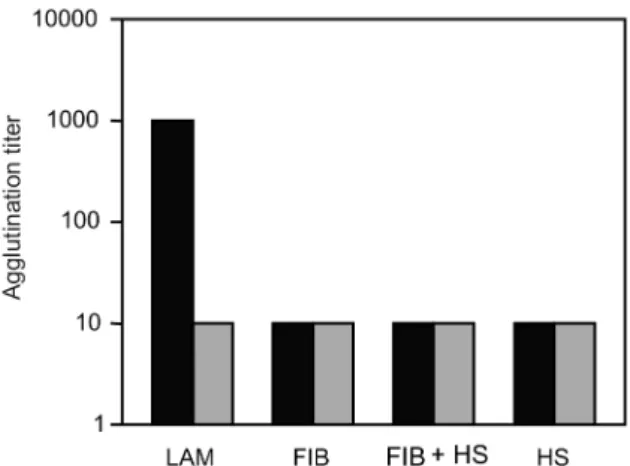 Fig. 1: growth curve of the Bacteroides fragilis strain ATCC 43859. 