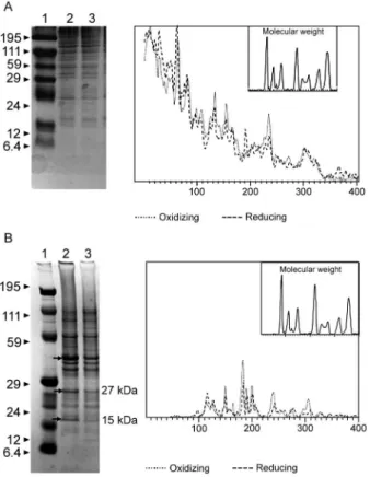 Fig. 4: total reducing sugar assay for the polysaccharide extracted from  the Bacteroides fragilis ATCC 43859 strain grown under oxidizing and  reducing conditions
