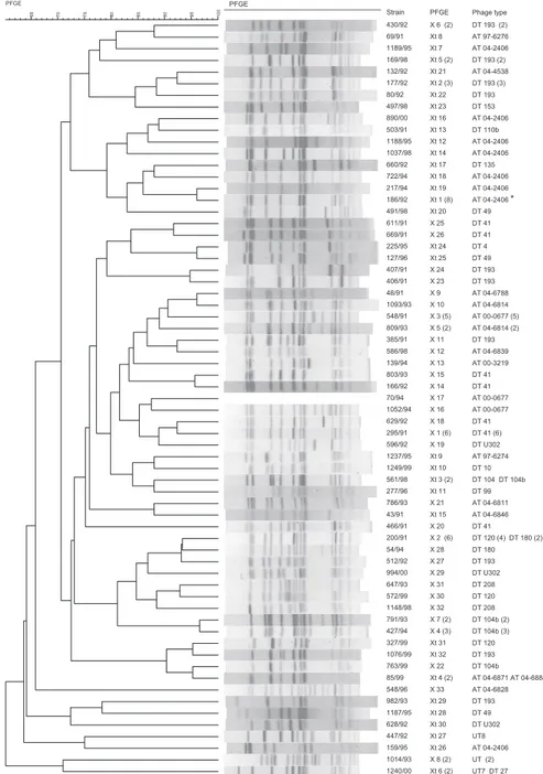 Fig. 1: dendrogram generated by BioNumerics software showing the relationship between Salmonella 1,4,[5],12:i:- (X) and Salmonella Typh- Typh-imurium (Xt) serovars obtained by pulsed-field gel electrophoresis (PFGE) after XbaI restriction