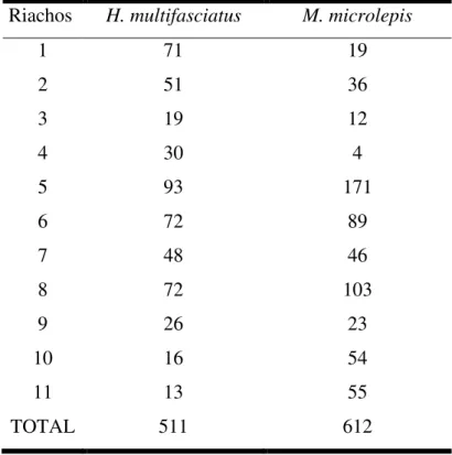 Tabela  2  –   Quantidade  de  exemplares  coletados  de  Hollandichthys  multifasciatus  e  Mimagoniates microlepis nos 11 riachos em Bertioga (SP)