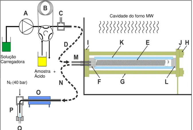 FIGURA 4.3.4.1 - Diagrama esquemático do sistema de digestão em fluxo assistido  por radiação micro-ondas sob alta pressão e temperatura