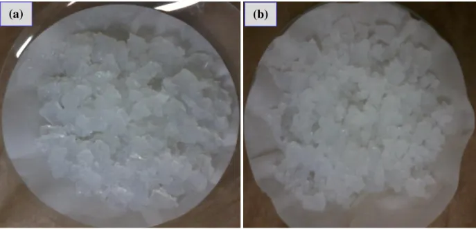 FIGURA  3 .4  −  Sílica  gel  extraídas  das  CCA  a  partir  das  cascas  de  arroz  variedades agulhinha (a) e cateto (b)
