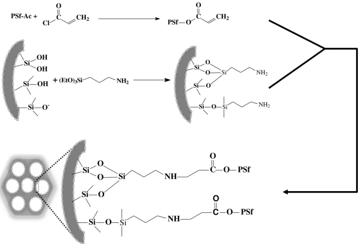 FIGURA  3.17  −   Esquema  do  possível  processo de  reação  entre  o  PSf − Ac  e o  MCM − 41 − NH 2   (CCA)  para  obtenção  das  membranas  poliméricas  de  matriz  mista de PSf−Ac/MCM−41−NH 2  (CCA)