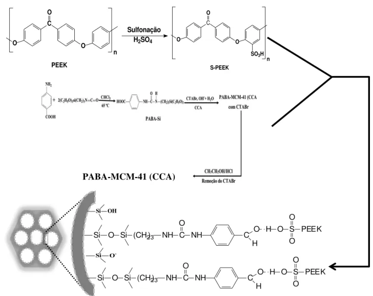 FIGURA  3.22 − Esquema do possível processo de reação entre o  S−PEEK e o  PABA−MCM−41  (CCA)  para  obtenção  das  membranas  poliméricas  de  matriz  mista de S−PEEK/PABA−MCM−41 (CCA)