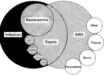 Figura 1: Relação entre infeção, sépsis e SIRS (Davis e Hagen, 1997). 