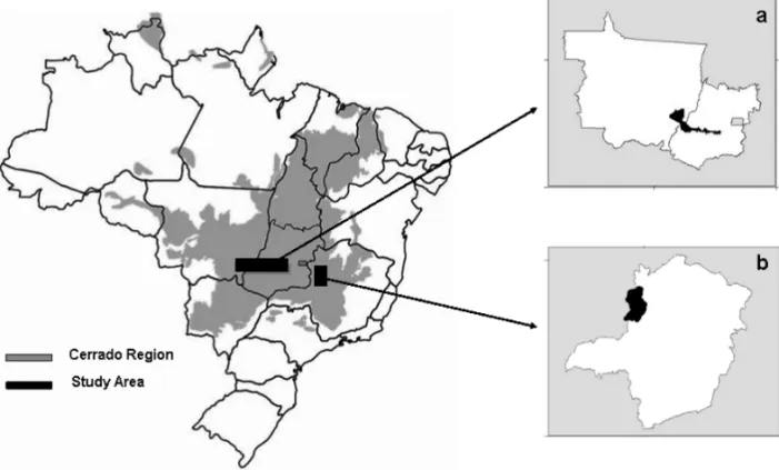Fig. 1 – Cerrado region in Central Brazil and detail showing the study area: a) Goiás and Mato Grosso States;