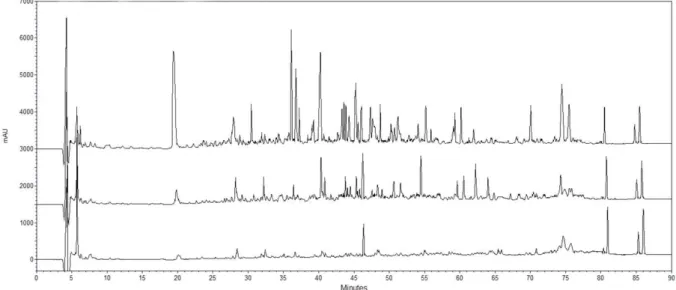 Figure 1. Peptide profiles of the WSEs of cow milk Tulum cheeses. Detection was at 214 nm