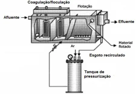 Figura 3: Representação do processo de flotação com ar dissolvido 