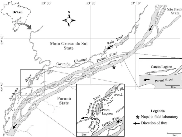 Figure 1. Study area in the Upper Paraná River Floodplain: Garças and Patos lakes.