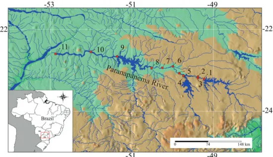 Fig. 1.  The cascade of dams (red squares) along the Paranapanema River. Dams: 1 = Jurumirim; 2 = Piraju; 3 = Paranapanema; 