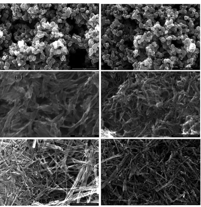 Figure 2. SEM micrograph of the films samples before the heat treatment: (A) TiO 2 ; (B) NaTiNT; (C) Nanoribbons and (D) TiO 2 ; (E)  NaTiNT; (F) Nanoribbons after the heat treatment.