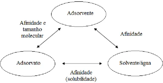 Figura  2  -  Diagrama  esquemático  descrevendo  as  relações  entre  os  três  componentes  do  sistema de adsorção