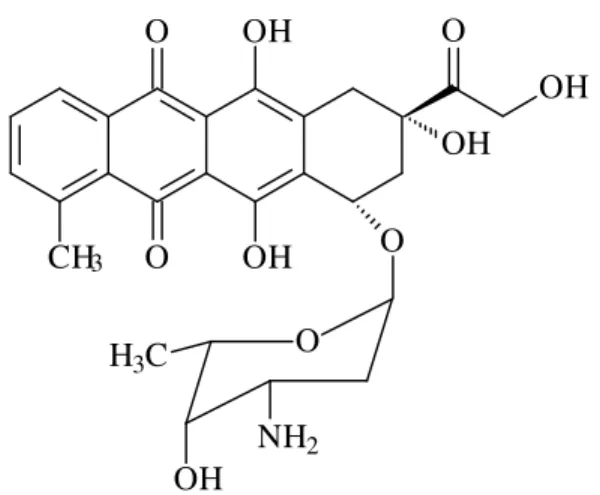 Figura 2. Fórmula estrutural do quimioterápico Doxorrubicina. 