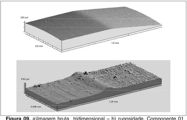 Figura  09.  a)Imagem bruta    tridimensional –  b)  rugosidade.  Componente 01  polido