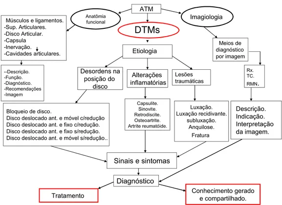 Figura 8 - Esquema demonstrativo do processo de representação do conhecimento  (DTM) por meio de um Mapa Conceitual (forma de organização do conhecimento  