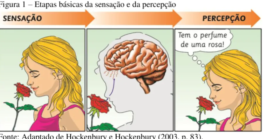 Figura 1 – Etapas básicas da sensação e da percepção 