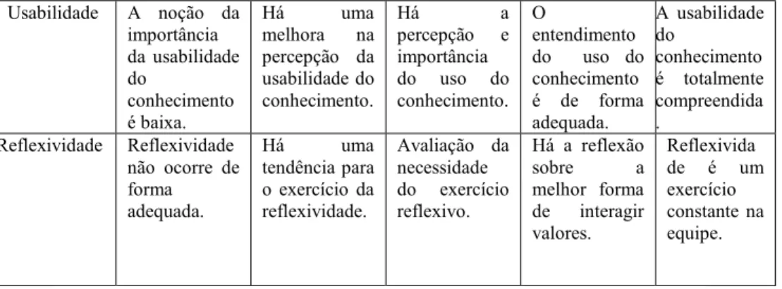 Figura 6-  Estruturação do Instrumento de Análise da Maturidade 