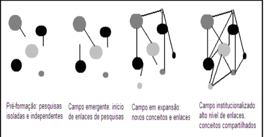 Figura 2 – Etapas da formação de um campo científico  Fonte: Baseado em: CARVALHO, VIEIRA, (2003) 