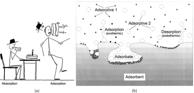 Figure 2.1: In (a), the di ff erence between absorption and adsorption in layman’s terms