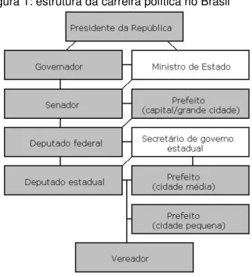 Figura 1: estrutura da carreira política no Brasil 