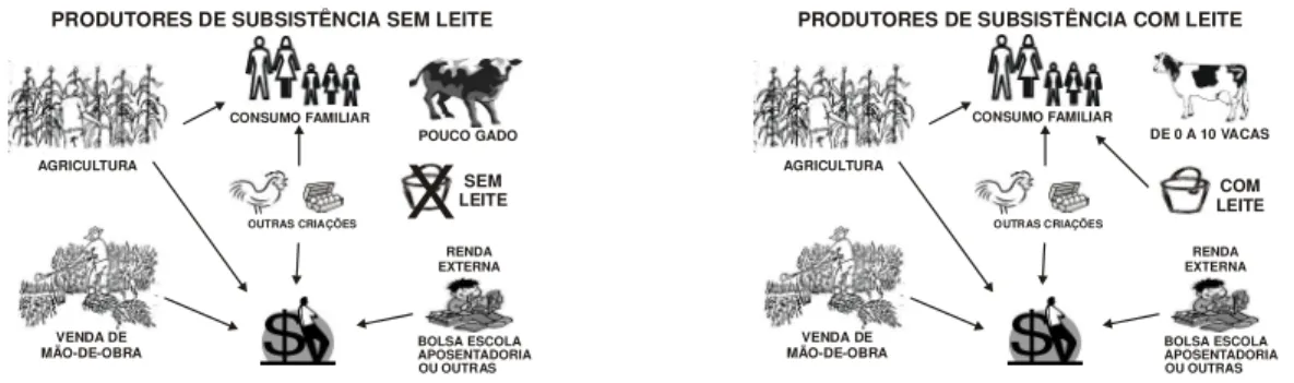 Figura 3-  Representação  esquemática  dos  sistemas  de produção  “Produtores de  subsistência  que não produzem leite” e “Produtores de subsistência que produzem leite”