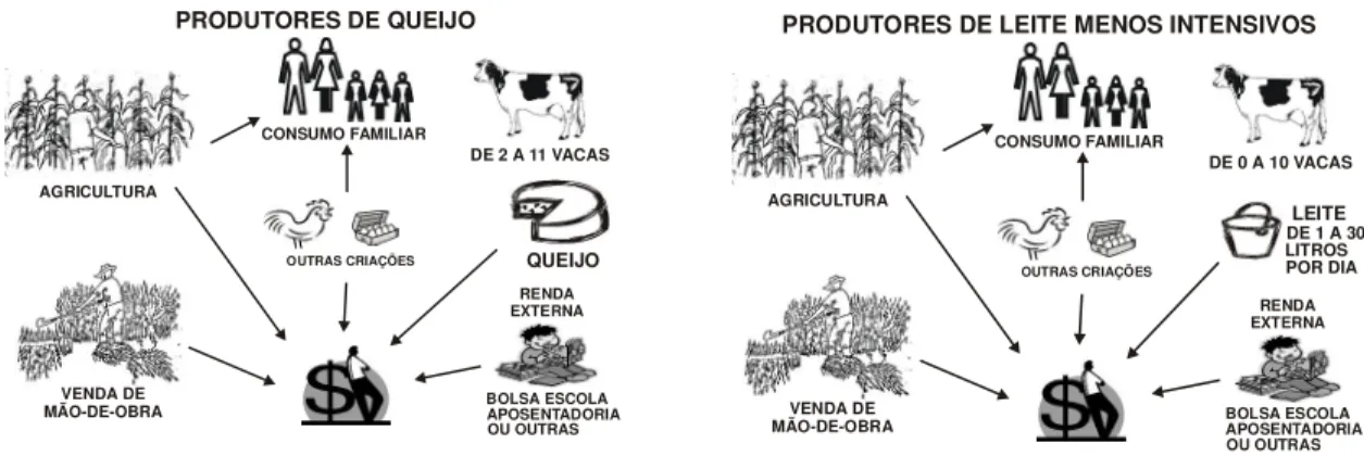 Figura  4  -  Representação  esquemática  dos  sistemas  de  produção  “Produtores  de  queijo”  e 