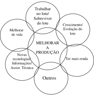 Figura 11- Núcleo central da representação do DR e seus principais elementos periféricos