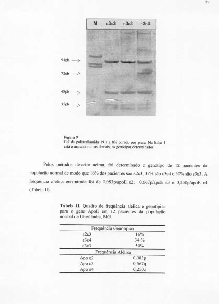 Tabela II. Quadro de freqíiência alélica e genotípica para o gene ApoE em 12 pacientes da população normal de Uberlândia, MG