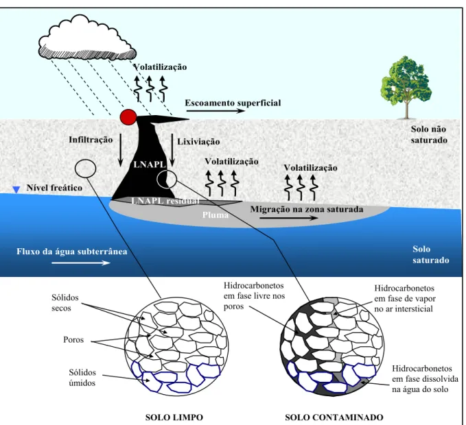 FIGURA 2.3 – Representação esquemática de um derramamento de hidrocarbonetos do petróleo e a  migração dos contaminantes no aqüífero