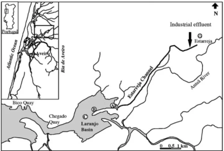 Fig. 1. Sampling Stations in the Laranjo Basin in Ria de Aveiro.