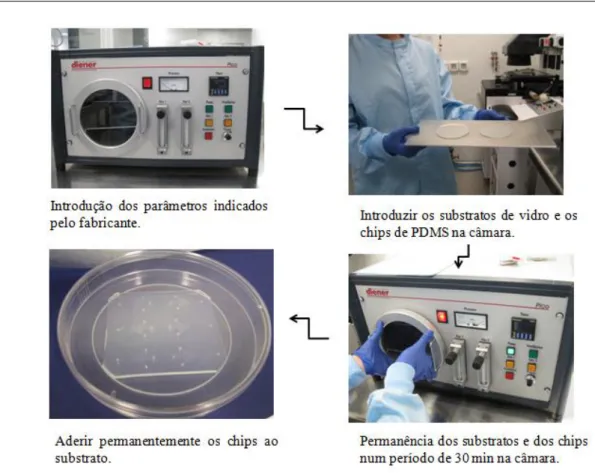 Figura 28:Demonstração dos principais passos a seguir na câmara de oxigénio/plasma. 