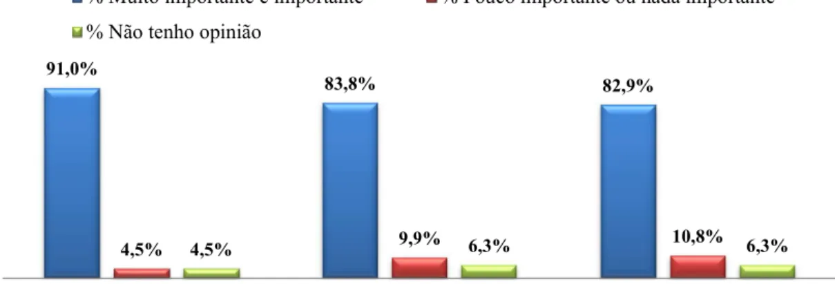 Gráfico 13-As competências do CCEI 