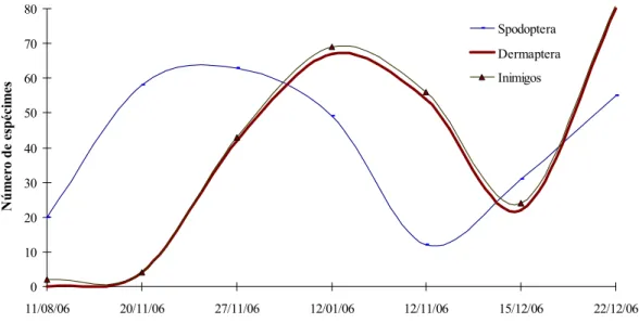 Figura  3.  Flutuação  populacional  da  lagarta  Spodoptera  frugiperda  e  seus  inimigos  naturais  no  sistema  irrigado, Dourados, MS, 2010