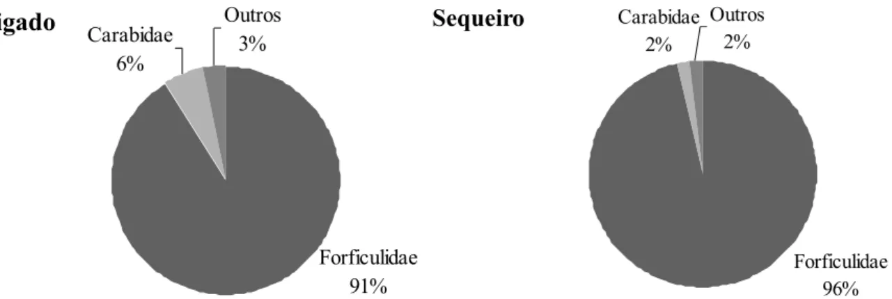 Figura 5. Abundância (%) de famílias dos inimigos naturais em milho em condição de irrigado e sequeiro,  Dourados, MS, 2010
