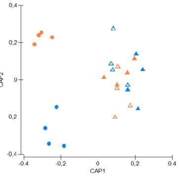 Figure  4.2  Canonical  Analysis  of  Principal  coordinates  (CAP)  of  the  bacterial  communities  associated to the brown seaweed Sargassum muticum, without (filled triangles) and with  Synisoma  nadejda  isopods (empty triangles), and the gut microbio