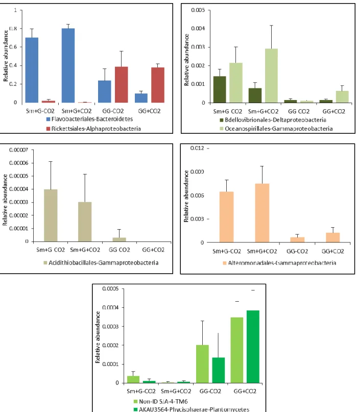 Figure 4.4 Mean relative abundances of bacterial classes, and respective orders, significantly more  abundant  in  either  Sargassum  muticum  (Sm)  or  the  gut  of  Synisoma  nadejda  (GG),  after  three  weeks  under  ambient  (380ppm;  -CO2)  and  elev