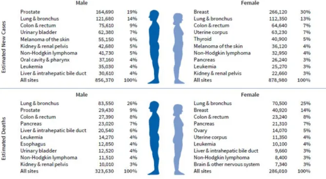 Figura 1. Incidência e Mortalidade por Cancro nos EUA em 2018, dados da American Cancer Society[4]