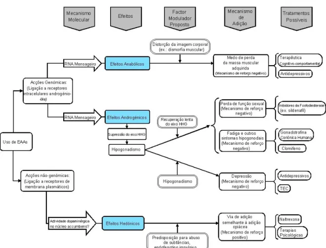 Figura 1 – Os três mecanismos propostos para justificar a dependência de EAAs [54]. 