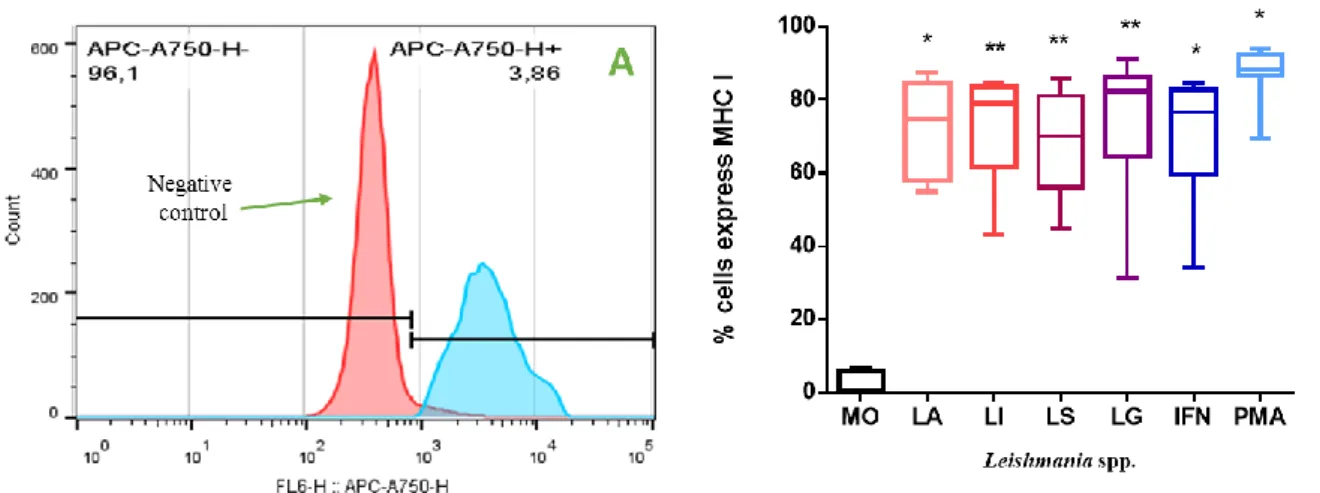 Figure  4.5.  Frequency  of  Leishmania-infected  MØ  expressing  MHCI  when  in  presence  of  lymphocytes