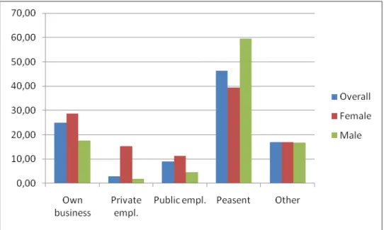 Figure 8 - Occupation of Mother (%) 