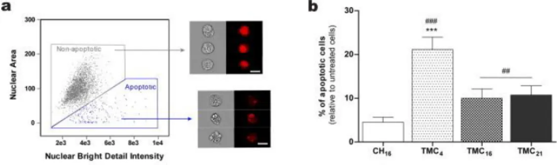 Fig.  6.  ND7/23  cell  apoptosis  upon  incubation  with  CH-  or  TMC-based  nanoparticles